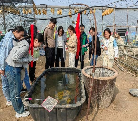 1678956977113242.jpg 1678956977113242.jpg